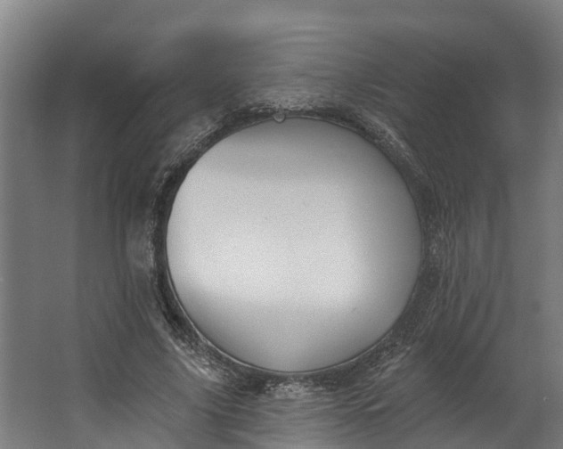 X0000062640635200601041058