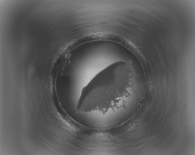 X0000062640637200601041058