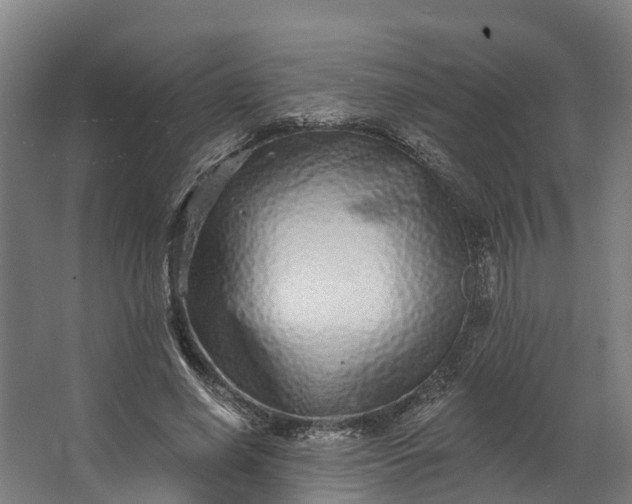 X0000062640638200601041058