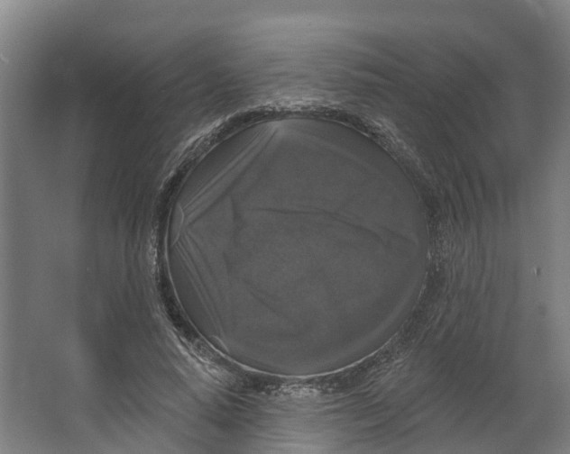 X0000062640640200601041058