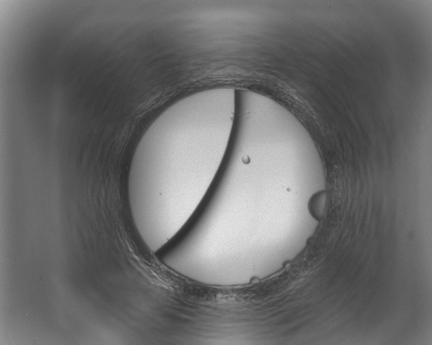 X0000062640641200601041058