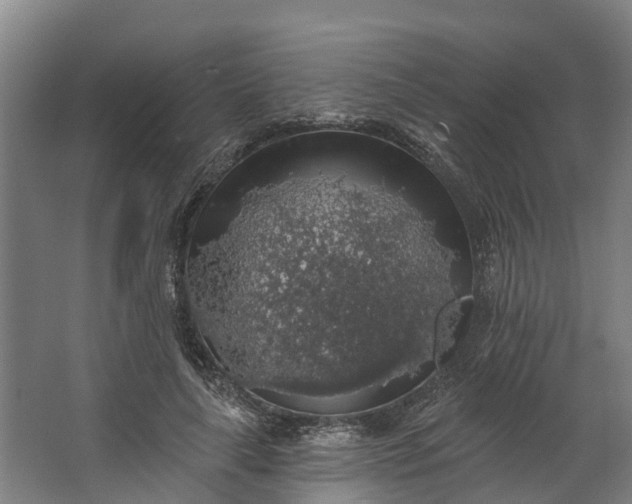 X0000062640643200601041058