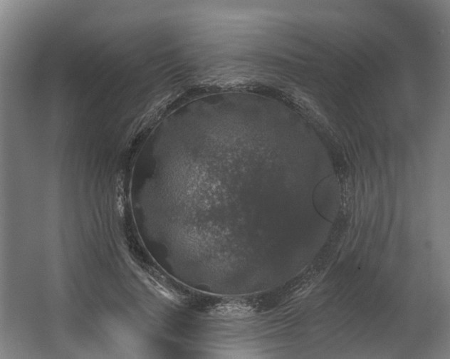 X0000062640644200601041058