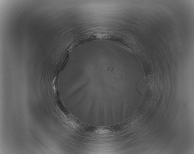 X0000062640650200601041058