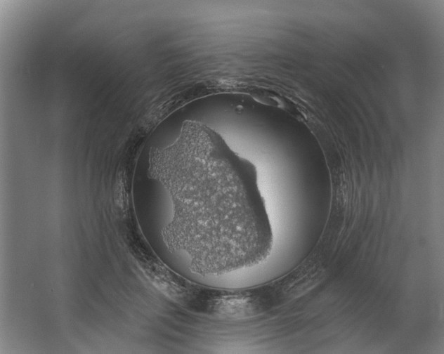 X0000062640651200601041058