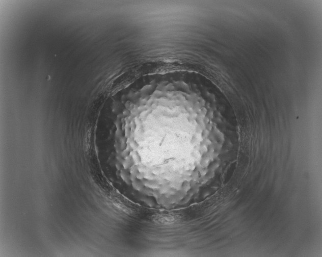 X0000062640652200601041058