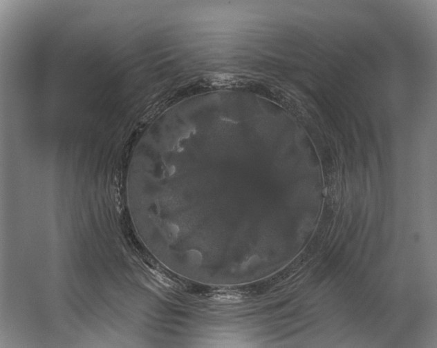 X0000062640653200601041058