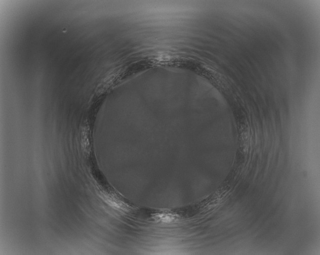 X0000062640654200601041058