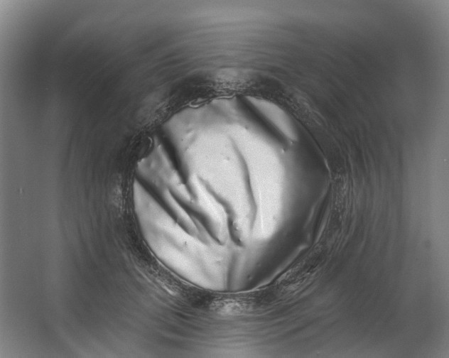 X0000062640655200601041058