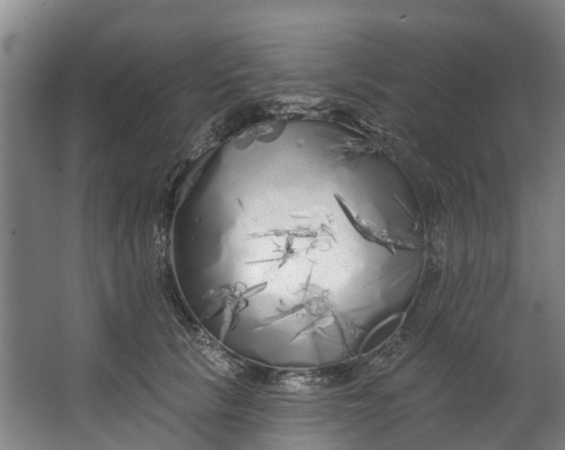 X0000062640657200601041058