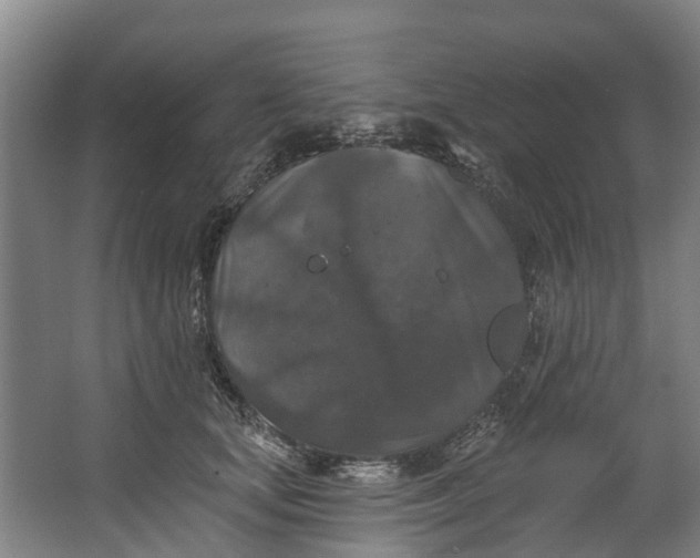 X0000062640659200601041058