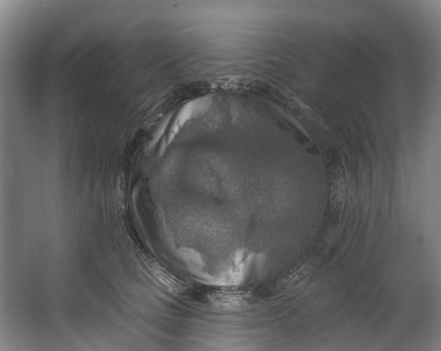 X0000062640661200601041058