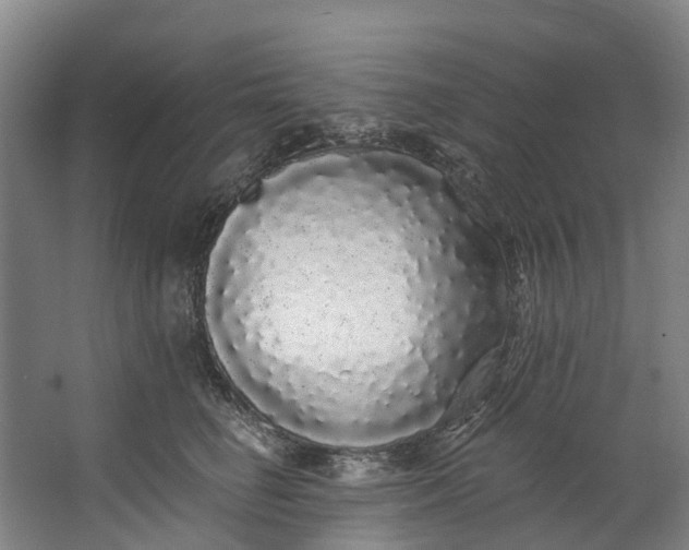 X0000062640662200601041058