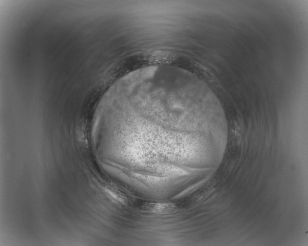 X0000062640663200601041058