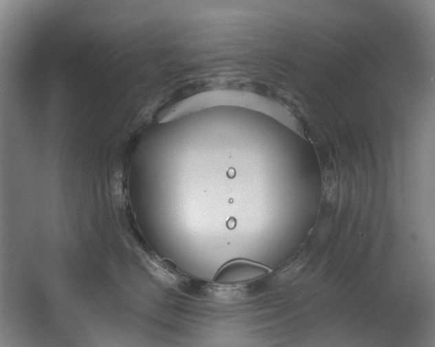 X0000062640670200601041058