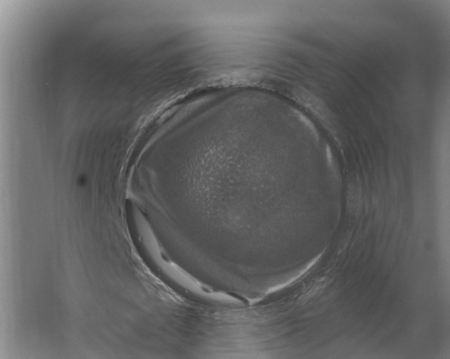 X0000062640673200601041058