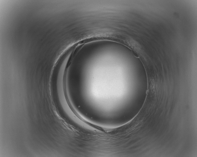 X0000062640676200601041058