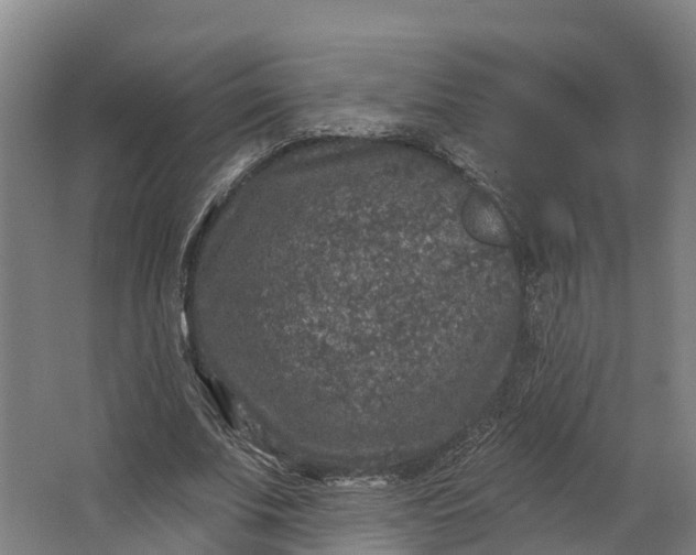 X0000062640679200601041057