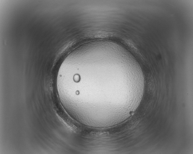 X0000062640683200601041057