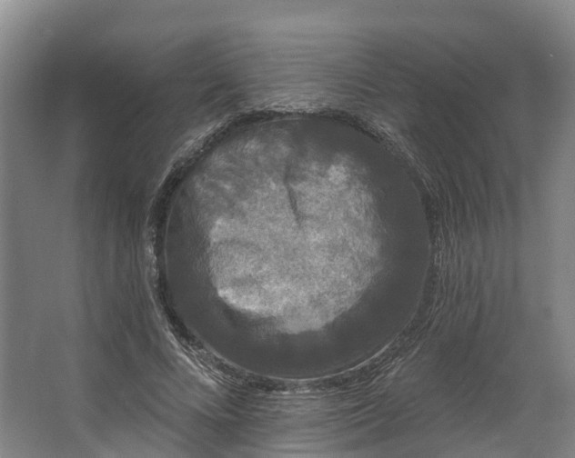 X0000062640688200601041057