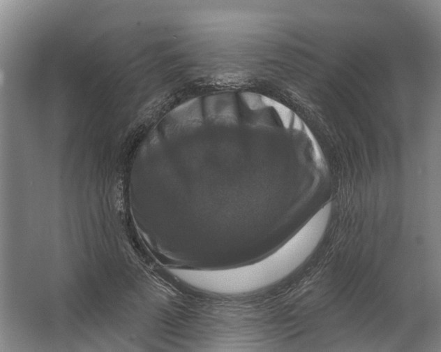 X0000062640689200601041057