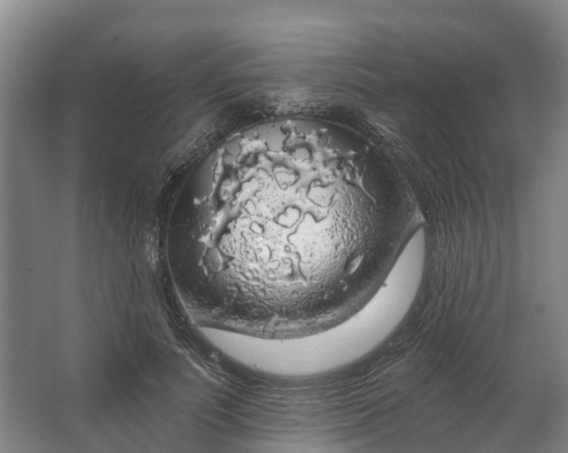 X0000062640691200601041057