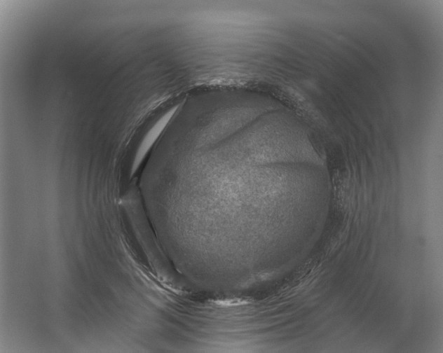 X0000062640692200601041057