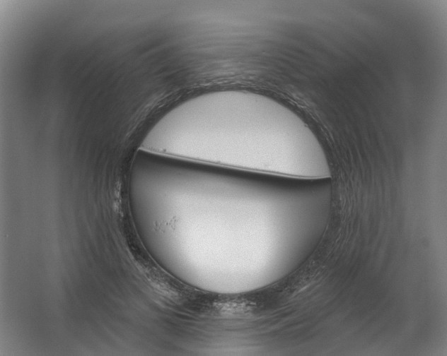 X0000062640693200601041057