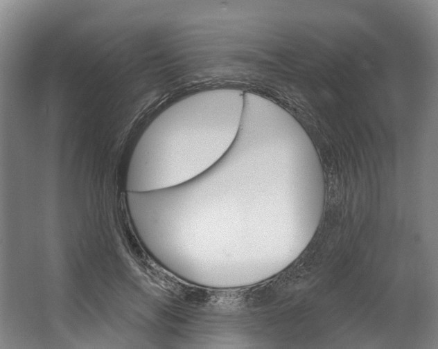 X0000062640694200601041057