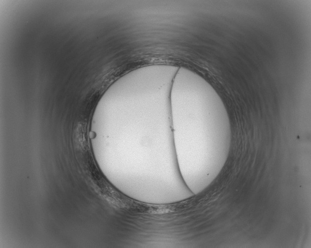 X0000062640695200601041057