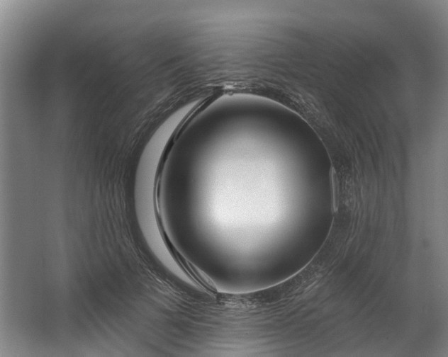 X0000062640697200601041057