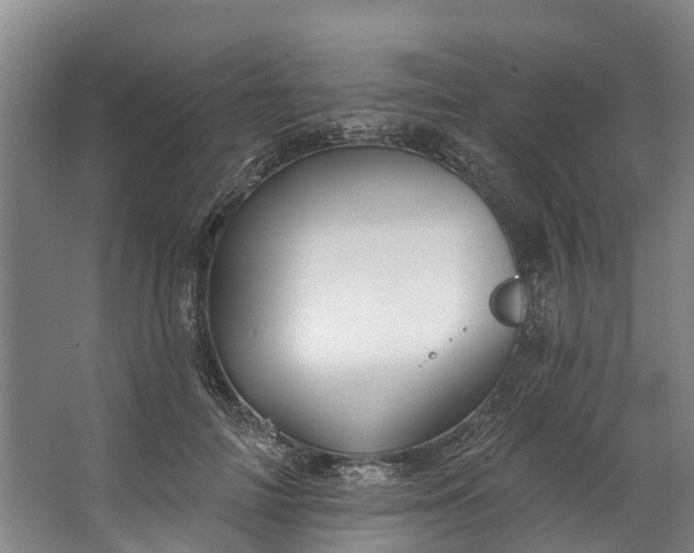 X0000062640698200601041057