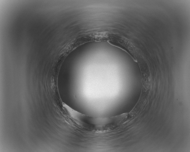 X0000062640704200601041057