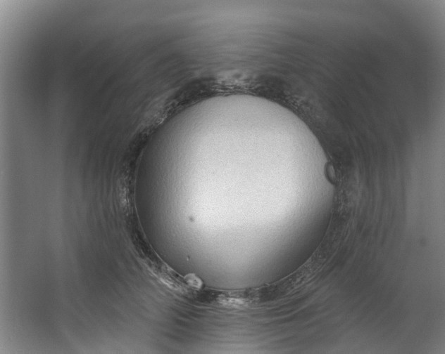 X0000062640706200601041057