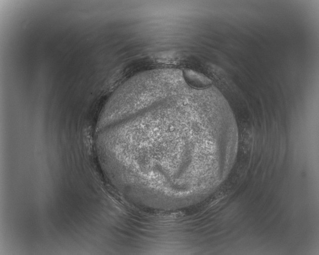 X0000062640707200601041057