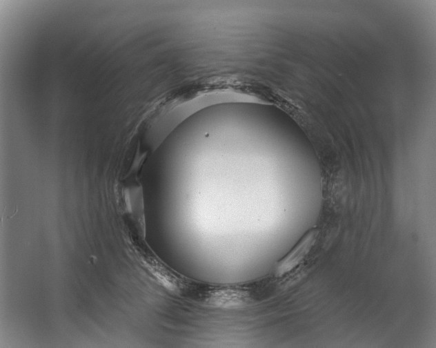 X0000062640708200601041057