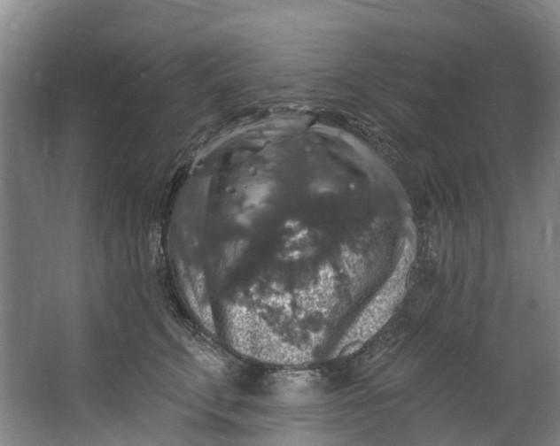 X0000062640711200601041057