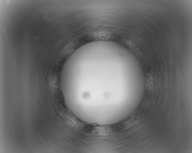 X0000062640713200601041057