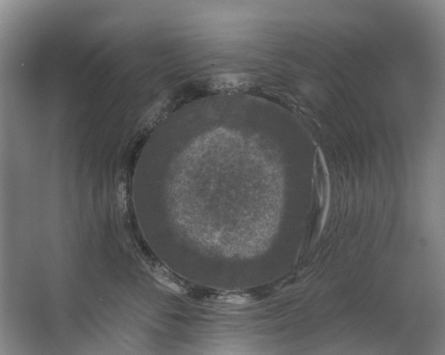 X0000062640716200601041057