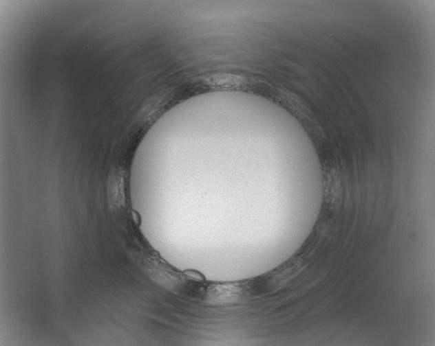 X0000062640717200601041057