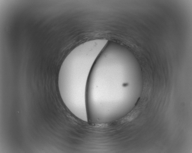 X0000062640720200601041057