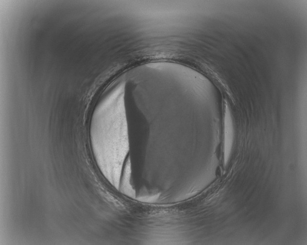 X0000062640721200601041056