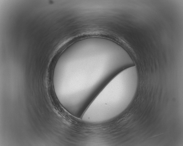 X0000062640724200601041056