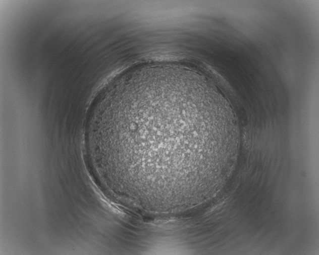 X0000062640725200601041056