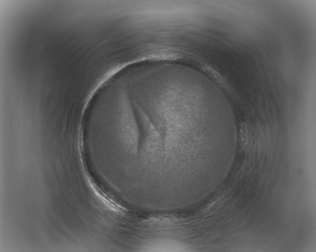 X0000062640726200601041056