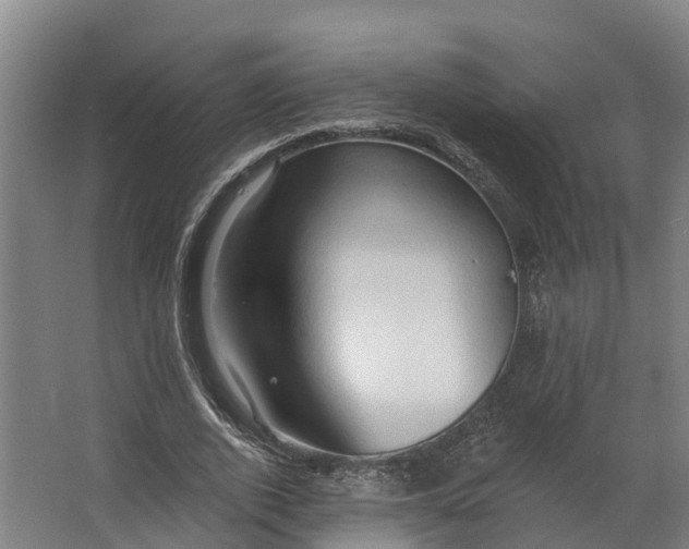 X0000062640728200601041056