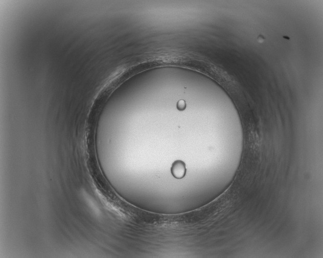 X0000062640730200601041056