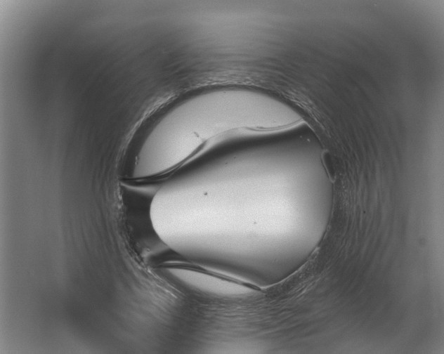 X0000062640731200601041056