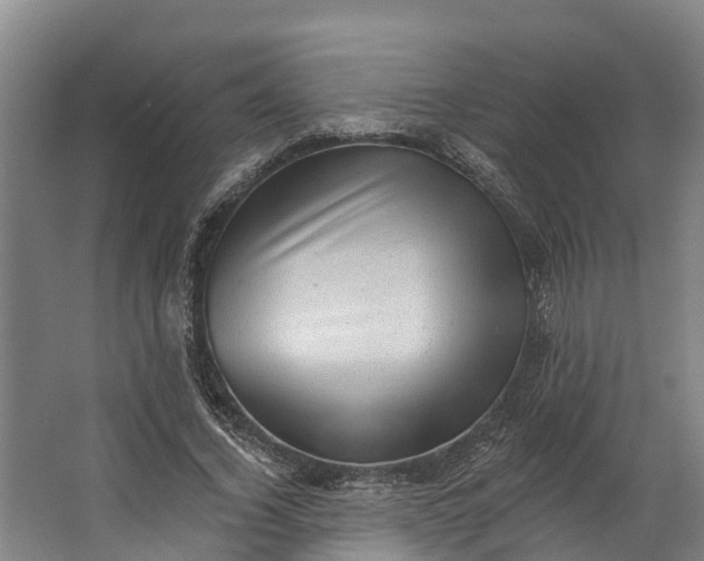 X0000062640732200601041056