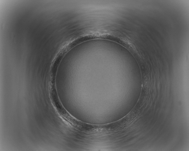 X0000062640736200601041056